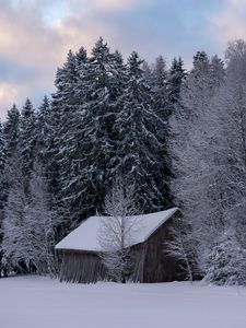 Preview wallpaper hut, winter, snow, forest, nature