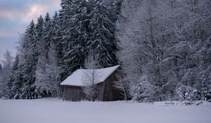 Preview wallpaper hut, winter, snow, forest, nature