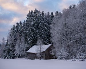 Preview wallpaper hut, winter, snow, forest, nature