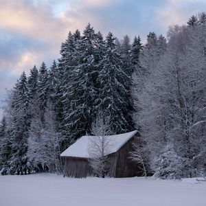 Preview wallpaper hut, winter, snow, forest, nature