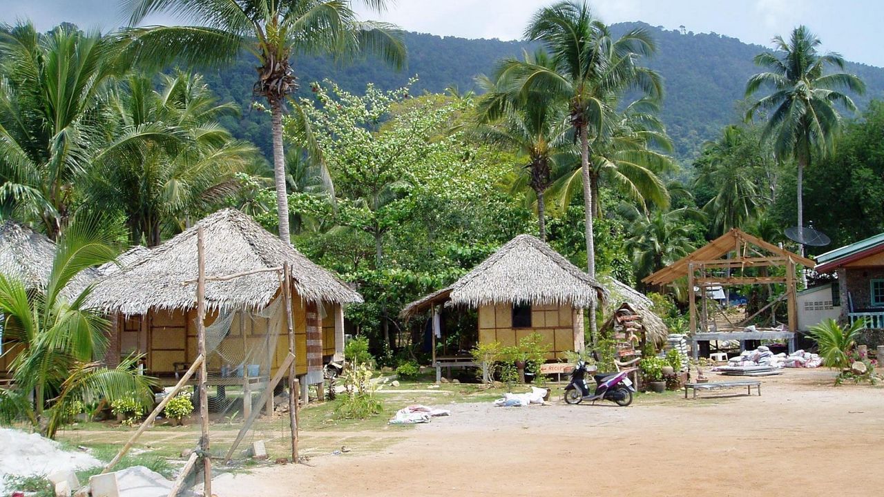 Wallpaper huts, palm trees, coast, beach, moped