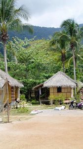 Preview wallpaper huts, palm trees, coast, beach, moped
