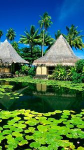 Preview wallpaper huts, palm trees, lake, tropics, water-lilies