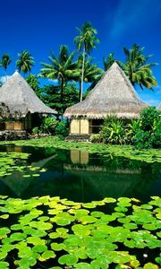 Preview wallpaper huts, palm trees, lake, tropics, water-lilies