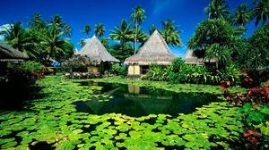 Preview wallpaper huts, palm trees, lake, tropics, water-lilies
