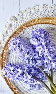 Preview wallpaper hyacinth, flowers, bouquet, purple