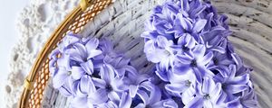 Preview wallpaper hyacinth, flowers, bouquet, purple