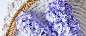 Preview wallpaper hyacinth, flowers, bouquet, purple