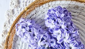 Preview wallpaper hyacinth, flowers, bouquet, purple