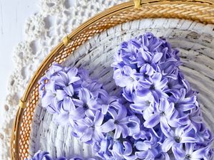 Preview wallpaper hyacinth, flowers, bouquet, purple