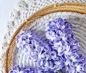 Preview wallpaper hyacinth, flowers, bouquet, purple