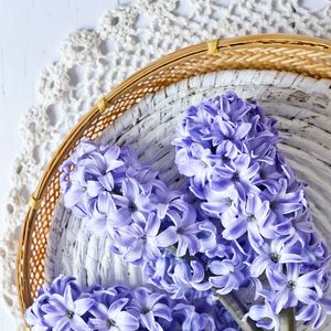 Preview wallpaper hyacinth, flowers, bouquet, purple