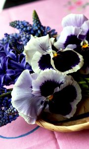 Preview wallpaper hyacinth, muscari, pansies, flowers, bouquet, basket