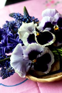 Preview wallpaper hyacinth, muscari, pansies, flowers, bouquet, basket