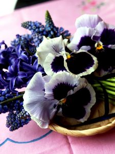 Preview wallpaper hyacinth, muscari, pansies, flowers, bouquet, basket