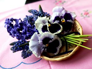 Preview wallpaper hyacinth, muscari, pansies, flowers, bouquet, basket