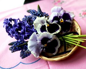 Preview wallpaper hyacinth, muscari, pansies, flowers, bouquet, basket