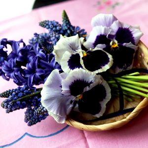 Preview wallpaper hyacinth, muscari, pansies, flowers, bouquet, basket