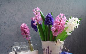 Preview wallpaper hyacinths, flower, spring, bucket, bottle, watering can, still life
