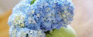 Preview wallpaper hydrangea, bouquet, vase, close-up