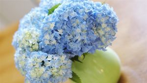 Preview wallpaper hydrangea, bouquet, vase, close-up