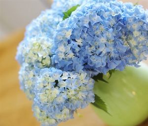Preview wallpaper hydrangea, bouquet, vase, close-up