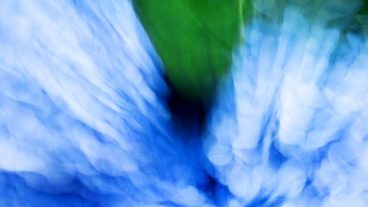 Wallpaper hydrangea, flowers, blur, abstraction, blue