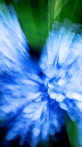 Preview wallpaper hydrangea, flowers, blur, abstraction, blue