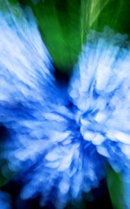 Preview wallpaper hydrangea, flowers, blur, abstraction, blue