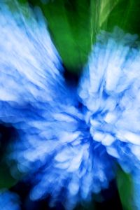 Preview wallpaper hydrangea, flowers, blur, abstraction, blue