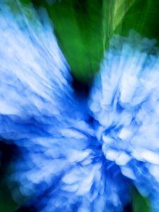 Preview wallpaper hydrangea, flowers, blur, abstraction, blue