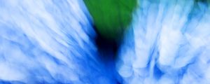 Preview wallpaper hydrangea, flowers, blur, abstraction, blue