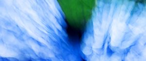 Preview wallpaper hydrangea, flowers, blur, abstraction, blue