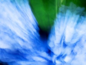 Preview wallpaper hydrangea, flowers, blur, abstraction, blue