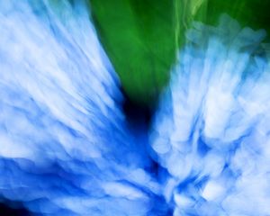 Preview wallpaper hydrangea, flowers, blur, abstraction, blue