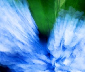 Preview wallpaper hydrangea, flowers, blur, abstraction, blue