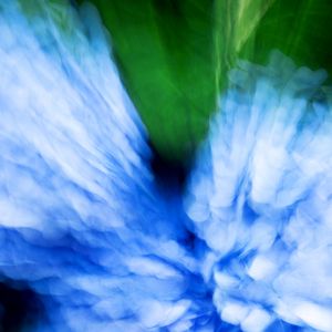 Preview wallpaper hydrangea, flowers, blur, abstraction, blue