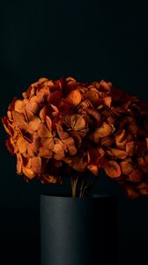 Preview wallpaper hydrangea, flowers, petals, orange