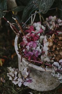 Preview wallpaper hydrangea, flowers, purple, bucket