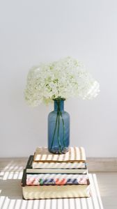 Preview wallpaper hydrangea, flowers, vase, books