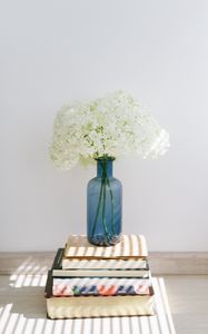 Preview wallpaper hydrangea, flowers, vase, books