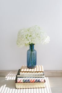 Preview wallpaper hydrangea, flowers, vase, books