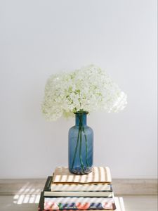 Preview wallpaper hydrangea, flowers, vase, books