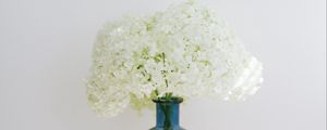 Preview wallpaper hydrangea, flowers, vase, books