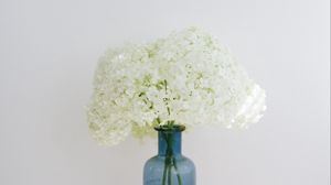 Preview wallpaper hydrangea, flowers, vase, books