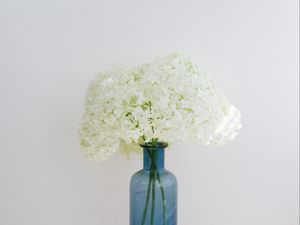 Preview wallpaper hydrangea, flowers, vase, books