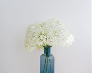 Preview wallpaper hydrangea, flowers, vase, books