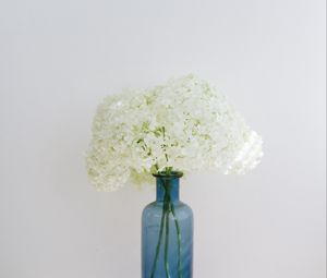 Preview wallpaper hydrangea, flowers, vase, books