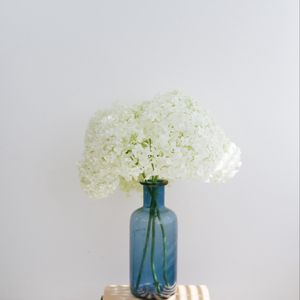 Preview wallpaper hydrangea, flowers, vase, books