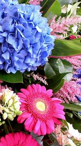 Preview wallpaper hydrangea, gerbera, delphinium, flower, decoration